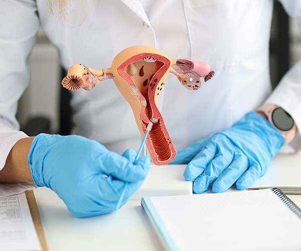 Dr. Marcelo Ponte - Ginecologista em São Paulo