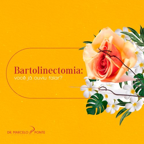 ARTIGO_Bartolinectomia_ você já ouviu falar_