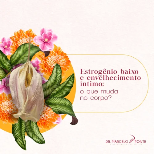 Estrogenio_baixo_e_envelhecimento_ntimo__o_que_muda_no_corpo__(1)
