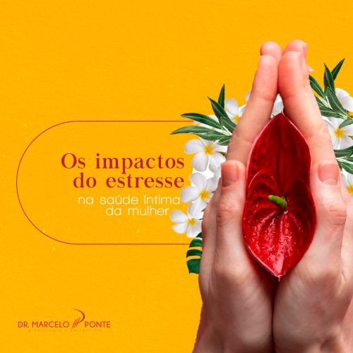 Os Impactos do Estresse na Saúde Íntima da Mulher