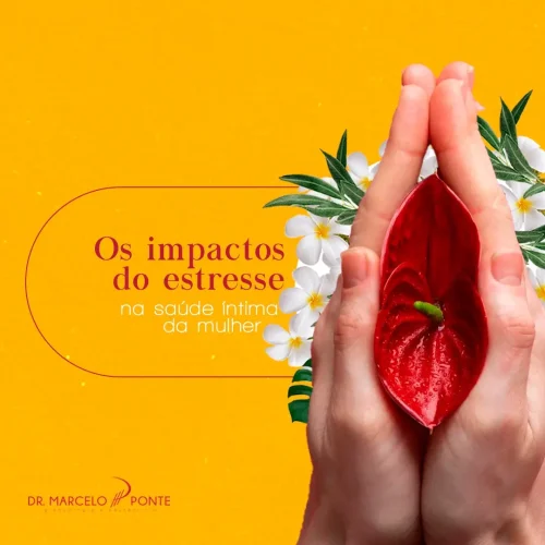 Os Impactos do Estresse na Saúde Íntima da Mulher