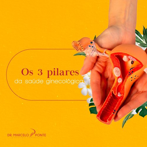 Os 3 Pilares da Saúde Ginecológica: Bem-Estar Sexual, Físico e Emocional