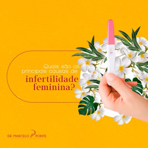 Quais São as Principais Causas de Infertilidade Feminina?