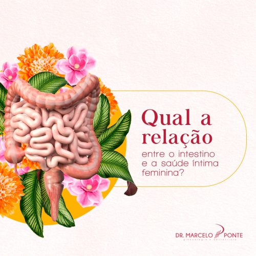 Qual a relação entre o intestino e a saúde íntima feminina?
