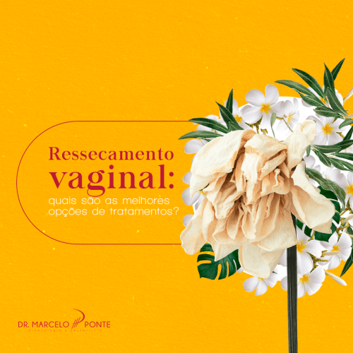 Ressecamento vaginal: quais são as melhores opções de tratamento?