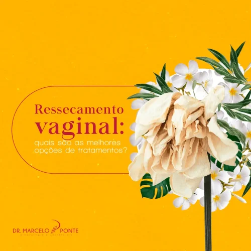 Ressecamento vaginal: quais são as melhores opções de tratamento?